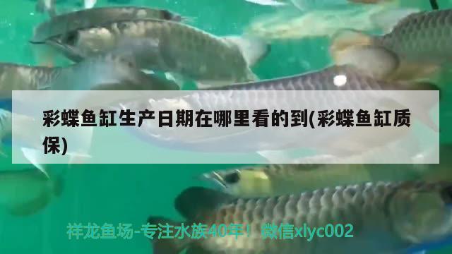 蓝底金龙鱼用什么颜色的灯好看点：金龙鱼用蓝色背景好吗 广州水族批发市场 第1张