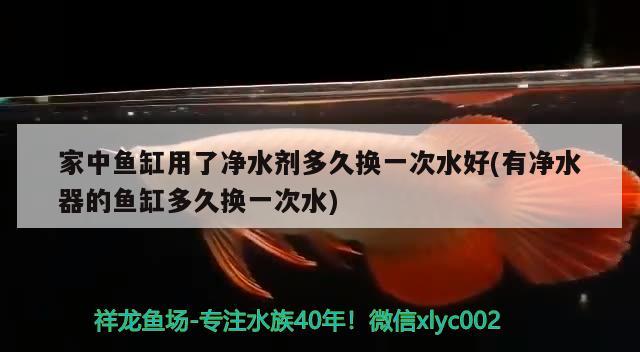 达州龙鱼:龙鱼为什么不能随便养 观赏鱼企业目录 第2张