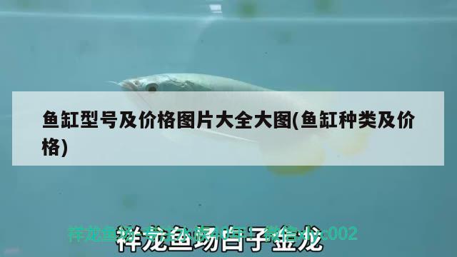 鱼缸型号及价格图片大全大图(鱼缸种类及价格) 观赏虾蟹等饲料