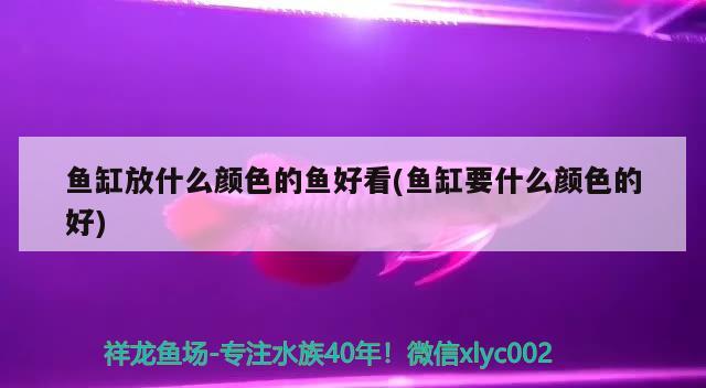 威海观赏鱼器材：威海观赏鱼器材专卖店 广州水族批发市场 第1张