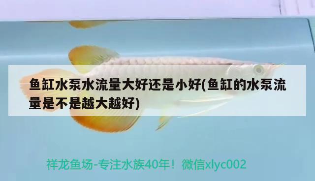 鱼缸水泵水流量大好还是小好(鱼缸的水泵流量是不是越大越好)