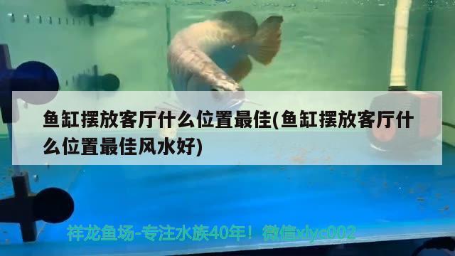 鱼缸摆放客厅什么位置最佳(鱼缸摆放客厅什么位置最佳风水好)