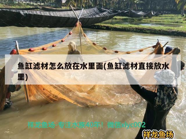 鱼缸滤材怎么放在水里面(鱼缸滤材直接放水里)