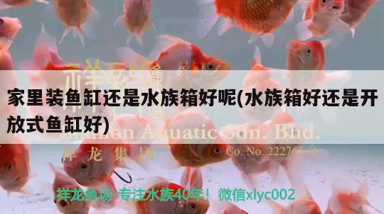 家里装鱼缸还是水族箱好呢(水族箱好还是开放式鱼缸好)