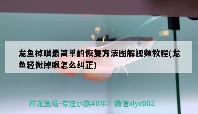 龙鱼掉眼最简单的恢复方法图解视频教程(龙鱼轻微掉眼怎么纠正)