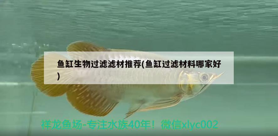 鱼缸生物过滤滤材推荐(鱼缸过滤材料哪家好)