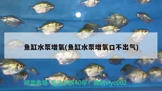 鱼缸水泵增氧(鱼缸水泵增氧口不出气)