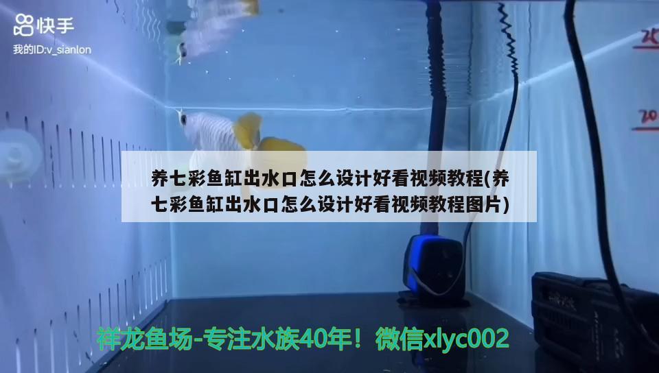 养七彩鱼缸出水口怎么设计好看视频教程(养七彩鱼缸出水口怎么设计好看视频教程图片)