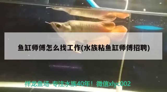 鱼缸师傅怎么找工作(水族粘鱼缸师傅招聘) 观赏鱼百科