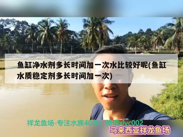 鱼缸净水剂多长时间加一次水比较好呢(鱼缸水质稳定剂多长时间加一次) 苏虎