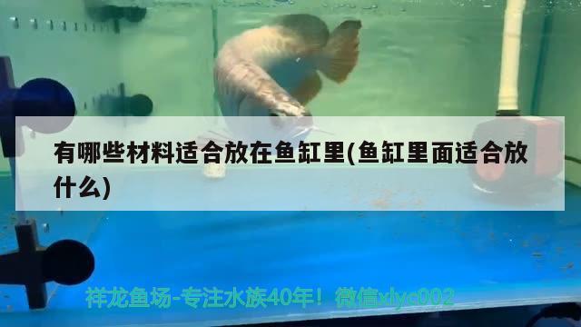 有哪些材料适合放在鱼缸里(鱼缸里面适合放什么)