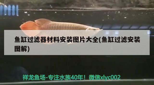 中山市小榄镇董记水族店（中山市小榄镇董记水族店地址） 全国水族馆企业名录