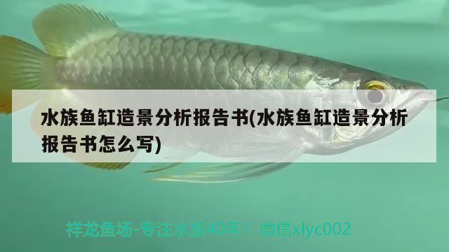 鱼缸汽水是什么意思，啤酒可以浇花吗，怎么浇