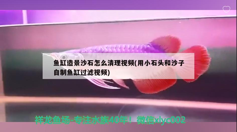 鱼缸造景沙石怎么清理视频(用小石头和沙子自制鱼缸过滤视频) 广州水族器材滤材批发市场