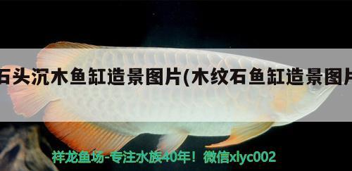 兰州二手鱼缸市场(兰州哪里卖鱼缸) 银河星钻鱼