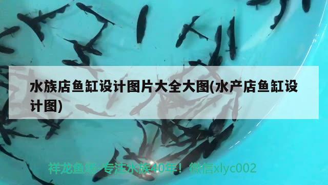 水族店鱼缸设计图片大全大图(水产店鱼缸设计图) 泰国雪鲫鱼