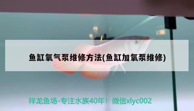 安庆哪里有卖鱼缸的市场啊多少钱一个（ 安庆水族市场在哪里） 大湖红龙鱼