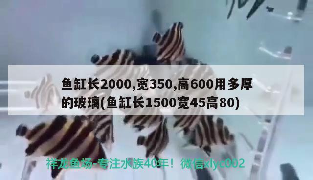 鱼缸长2000,宽350,高600用多厚的玻璃(鱼缸长1500宽45高80)