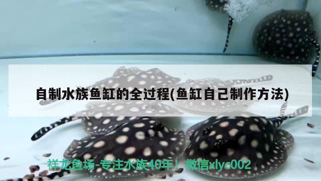 自制水族鱼缸的全过程(鱼缸自己制作方法)