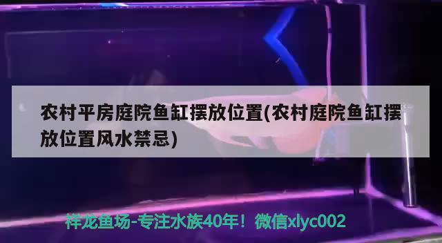 农村平房庭院鱼缸摆放位置(农村庭院鱼缸摆放位置风水禁忌) 鱼缸风水