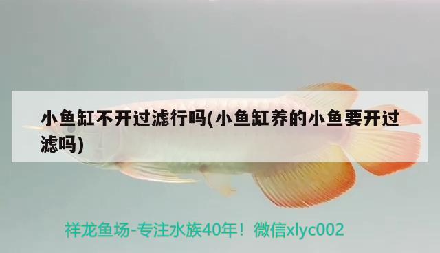 毕节威宁县篮湾水族馆 全国水族馆企业名录 第2张