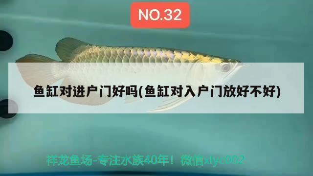 广汉鱼缸定制电话地址及电话：广汉好吃的鱼馆 广州水族批发市场 第1张