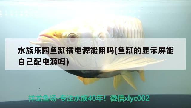 水族乐园鱼缸插电源能用吗(鱼缸的显示屏能自己配电源吗) 观赏鱼市场