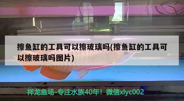 鱼缸用的led灯有什么作用？，鱼缸用的led水族灯是蓝色有什么好处吗