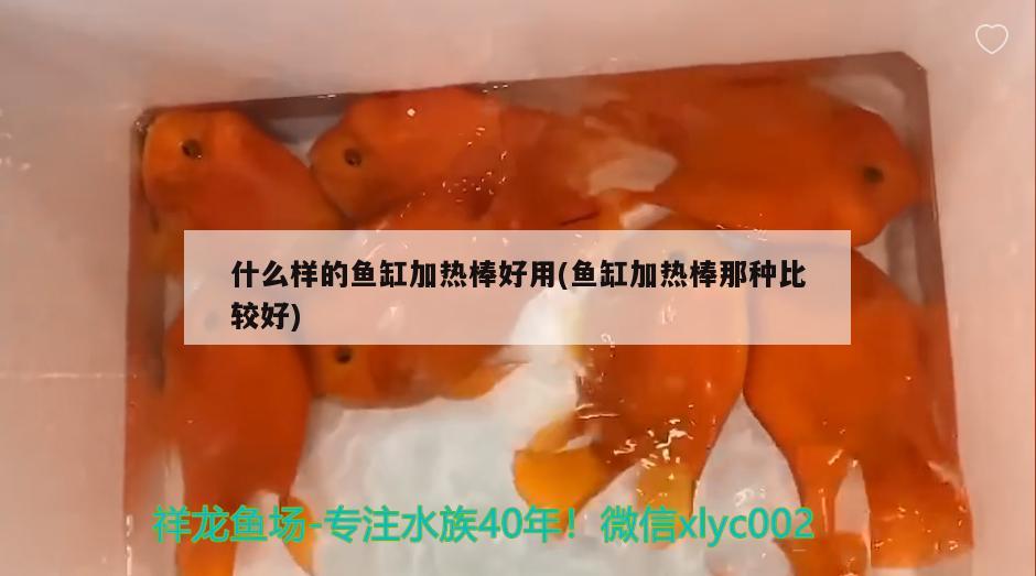 不一样了 观赏虾蟹等饲料 第1张