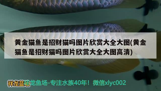 九纹龙大闹史家庄讲的什么道理，水浒传第22回，阎婆大闹郓城县，朱仝义释宋公明，的情节概括，急！急！急