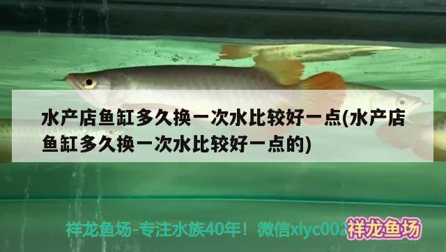 水产店鱼缸多久换一次水比较好一点(水产店鱼缸多久换一次水比较好一点的) 月光鸭嘴鱼