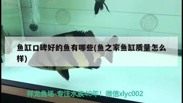 二手水族鱼缸转让 二手水族鱼缸转让 赤元素