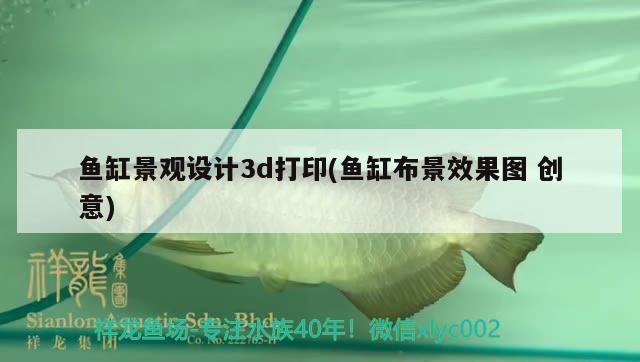 鱼缸景观设计3d打印(鱼缸布景效果图创意) 广州景观设计