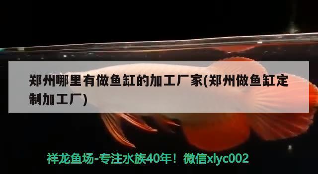 下过滤鱼缸组装步骤，底滤鱼缸换少许水如何换 养鱼的好处 第2张