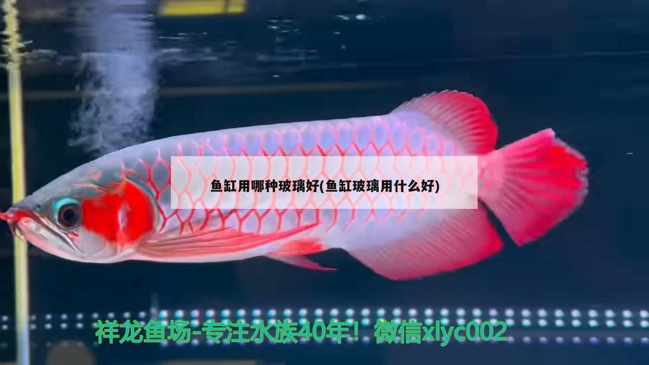 鱼缸用哪种玻璃好(鱼缸玻璃用什么好)