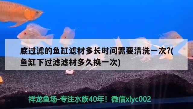 森森鱼缸时间怎么设置时间视频（森森603和604有什么区别） 刀鱼鱼 第1张