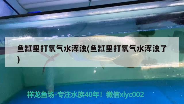 鱼缸里打氧气水浑浊(鱼缸里打氧气水浑浊了)