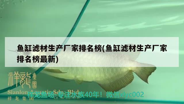 鱼缸滤材生产厂家排名榜(鱼缸滤材生产厂家排名榜最新) 祥龙水族滤材/器材