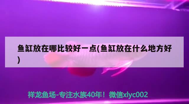 新手开水族批发市场进货渠道有哪些，新手开封水族批发市场地址在哪里开水族店进货渠道有哪些 观赏鱼水族批发市场 第3张