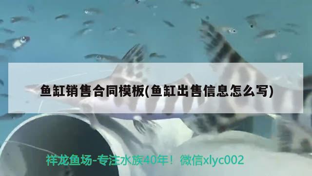 鱼缸销售合同模板(鱼缸出售信息怎么写) 广州观赏鱼鱼苗批发市场