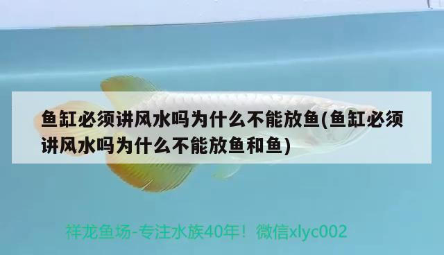 广州市荔湾区有鱼相聚水族宠物用品店 全国水族馆企业名录 第3张