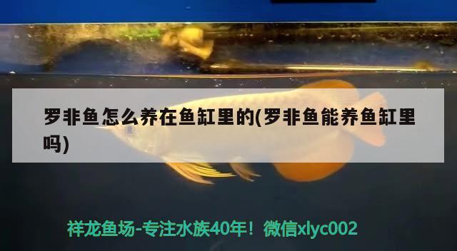 萍乡市欧阳水族馆 全国水族馆企业名录 第3张