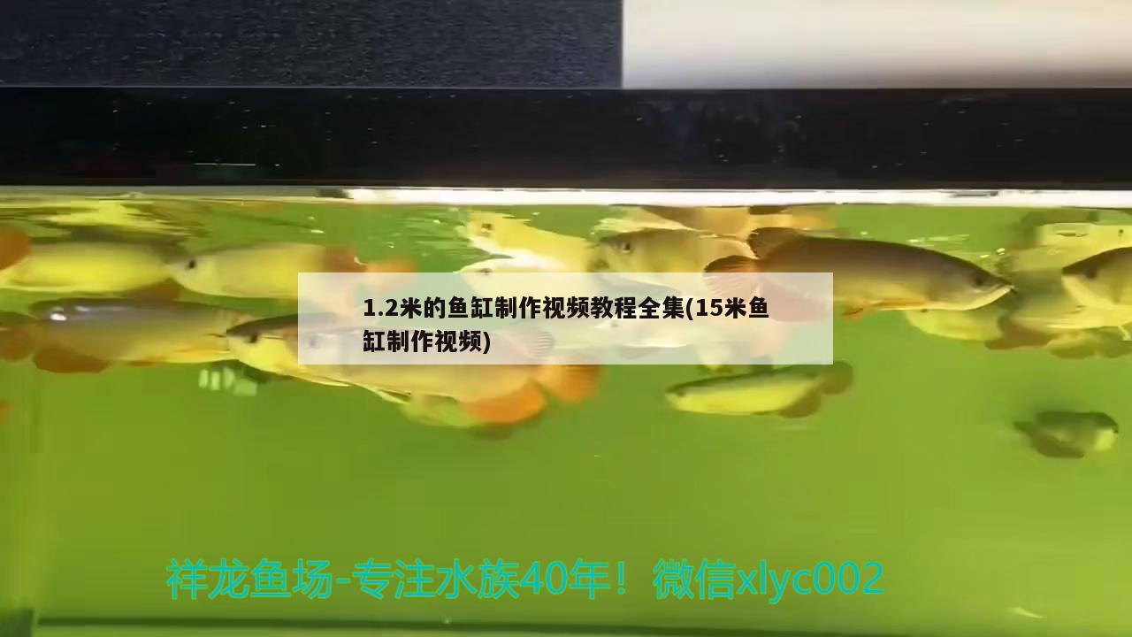 1.2米的鱼缸制作视频教程全集(15米鱼缸制作视频) 水草