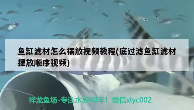 台湾鱼缸灯管怎么拆除视频讲解大全图片下载(鱼缸灯管两头怎么拆除视频) 水族用品 第1张