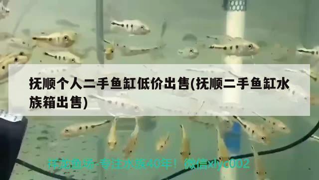 抚顺个人二手鱼缸低价出售(抚顺二手鱼缸水族箱出售)