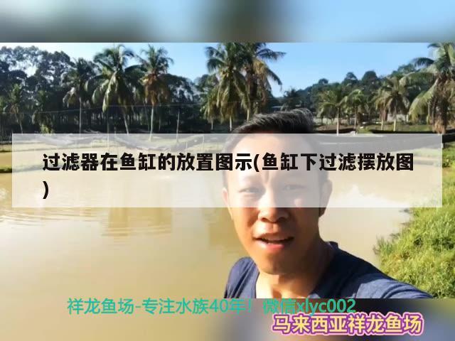 过滤器在鱼缸的放置图示(鱼缸下过滤摆放图) 银龙鱼苗