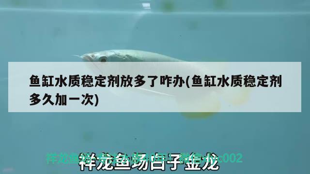 鱼缸水质稳定剂放多了咋办(鱼缸水质稳定剂多久加一次)