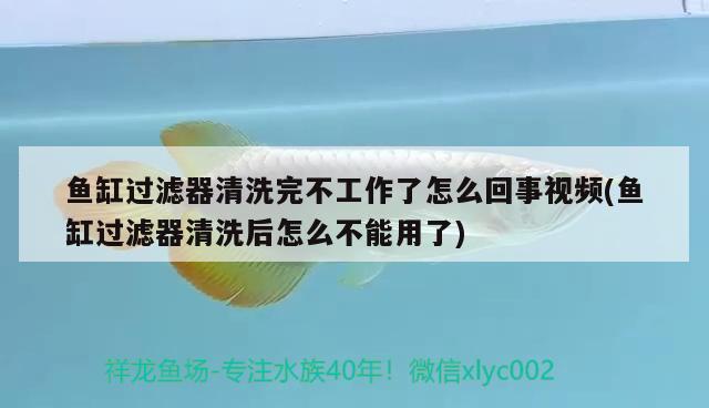 鱼缸过滤器清洗完不工作了怎么回事视频(鱼缸过滤器清洗后怎么不能用了)