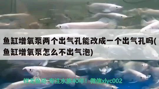 鱼缸增氧泵两个出气孔能改成一个出气孔吗(鱼缸增氧泵怎么不出气泡) 魟鱼