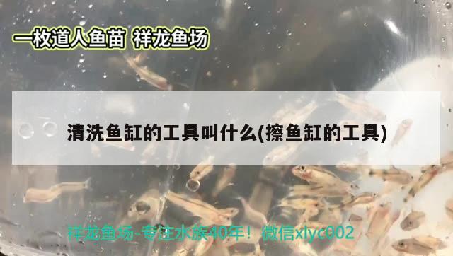 1米8长60厘米宽鱼缸多重啊（长1米宽60分米高80分米的鱼缸有多少斤）